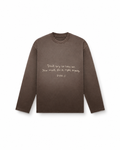 Don’t try to copy me ;) longsleeve sunfaded chocolate brown